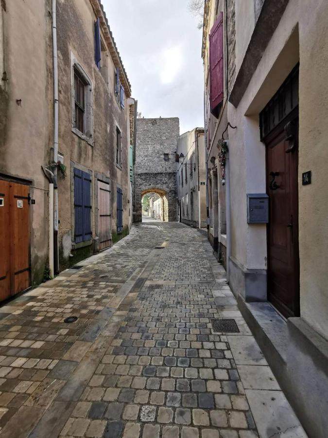 Le Coq Du Nord - Mailhac Gite Et Chambres D'Hotes Exterior photo